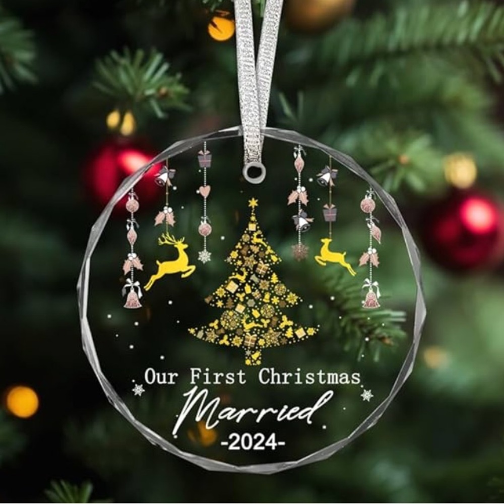 Christmas ornament for 2024